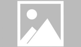 娱乐圈吃瓜李洋洋,李洋洋的瓜田奇遇记