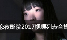 恋夜全部视频,一场跨越时空的浪漫邂逅